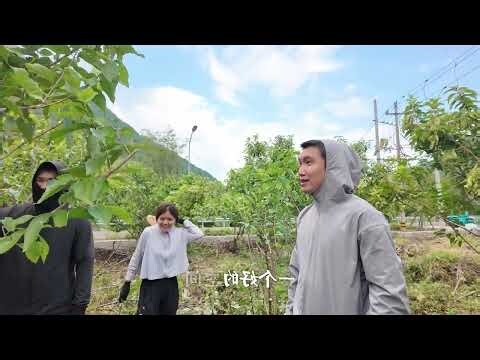 前有照 后有靠